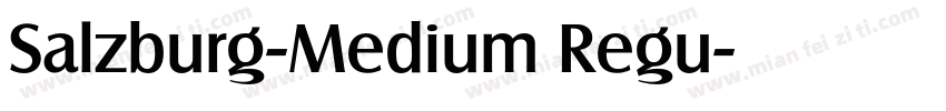 Salzburg-Medium Regu字体转换